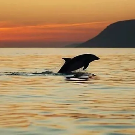 Apartment In A Rustic House With Swimming Pool *